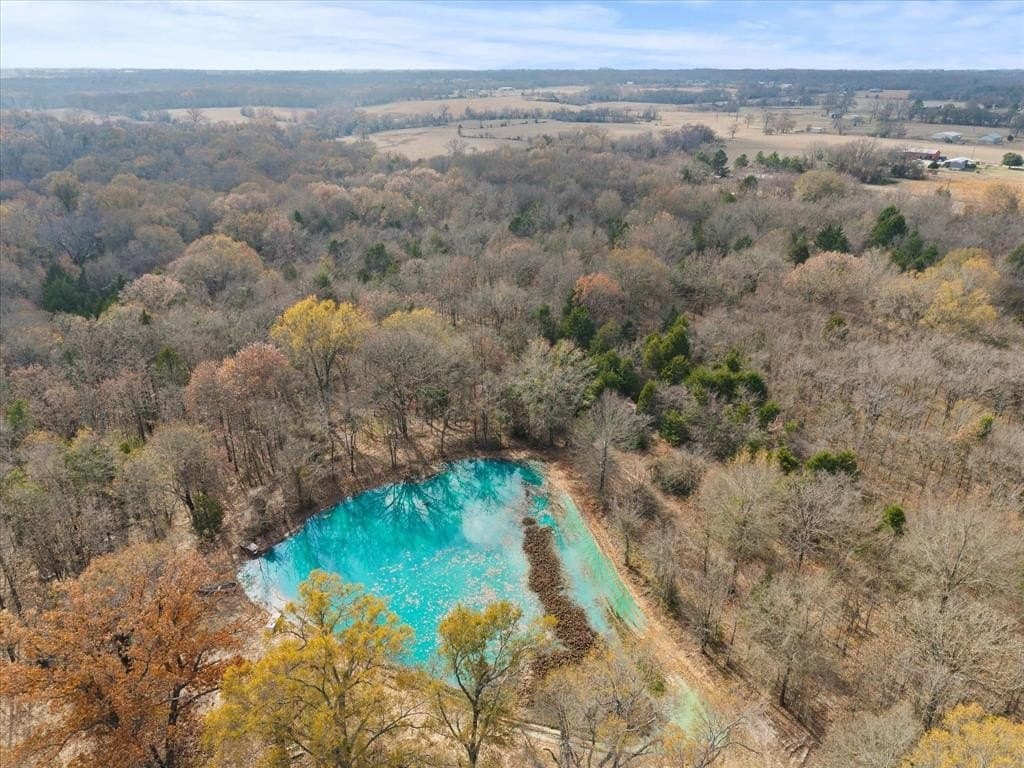 17.53 acres in Rains County - photo 8