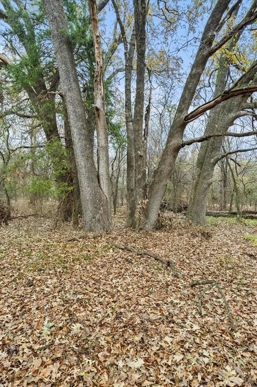 17.53 acres in Rains County - photo 17