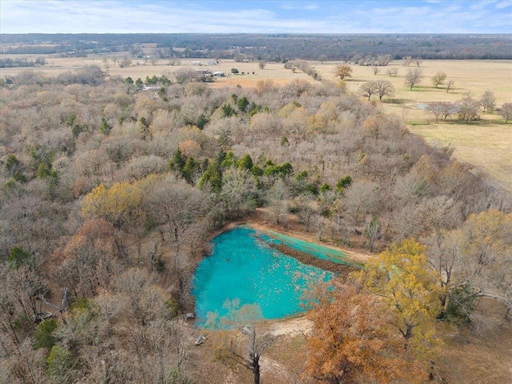17.53 acres in Rains County - photo 7