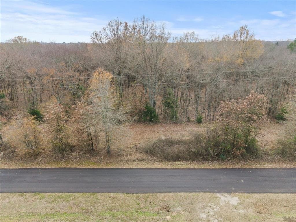 17.53 acres in Rains County - photo 12