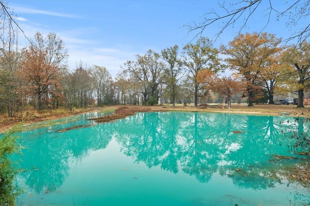 17.53 acres in Rains County - photo 14