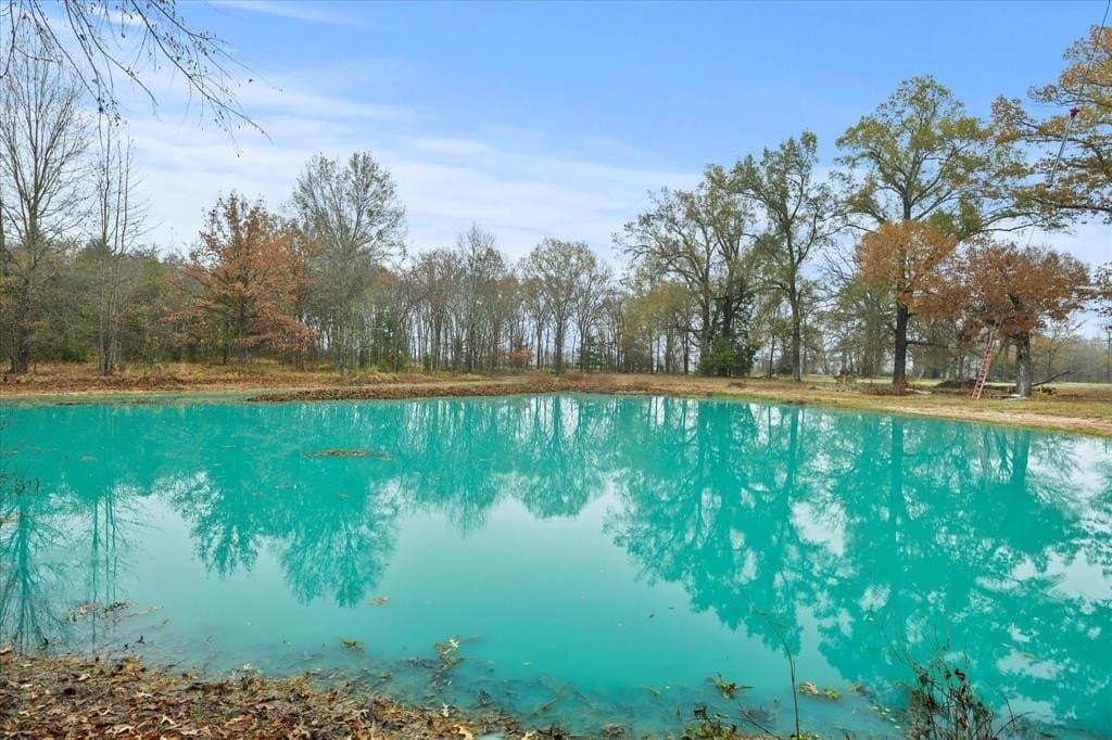 17.53 acres in Rains County - photo 15