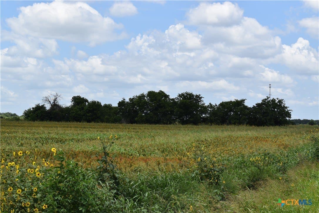 20 acres in Milam County - photo 5