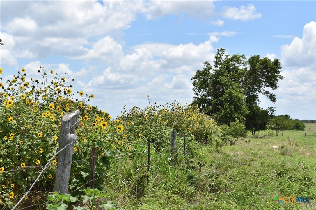 20 acres in Milam County - photo 10