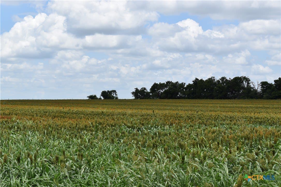 20 acres in Milam County - photo 6