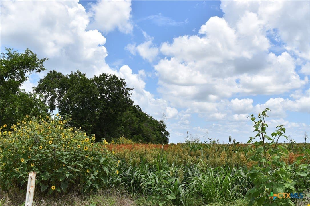 20 acres in Milam County - photo 11