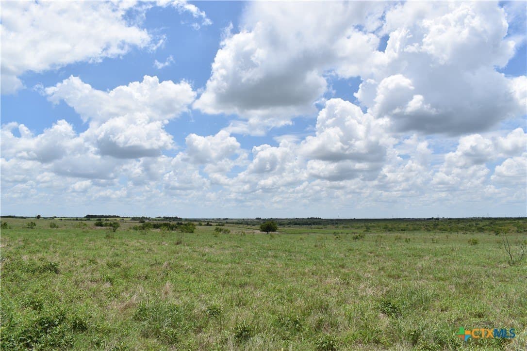 20 acres in Milam County - photo 3