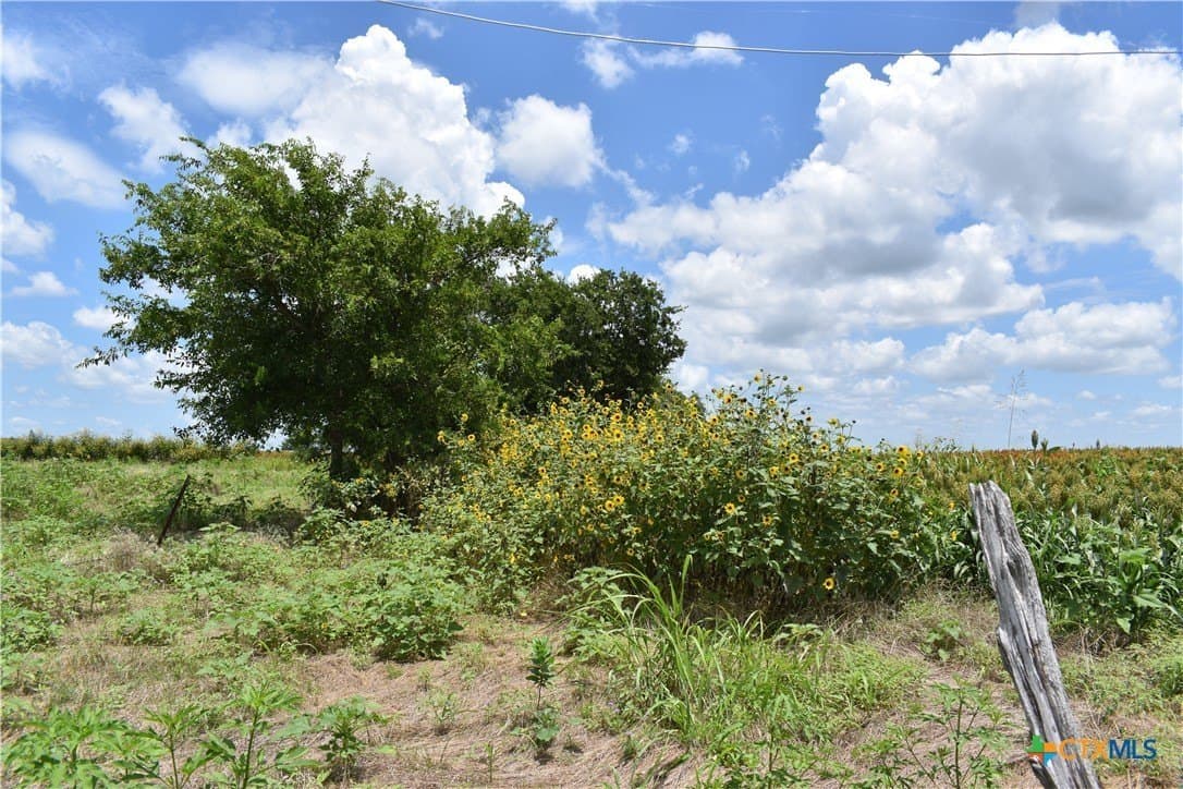 20 acres in Milam County - photo 9