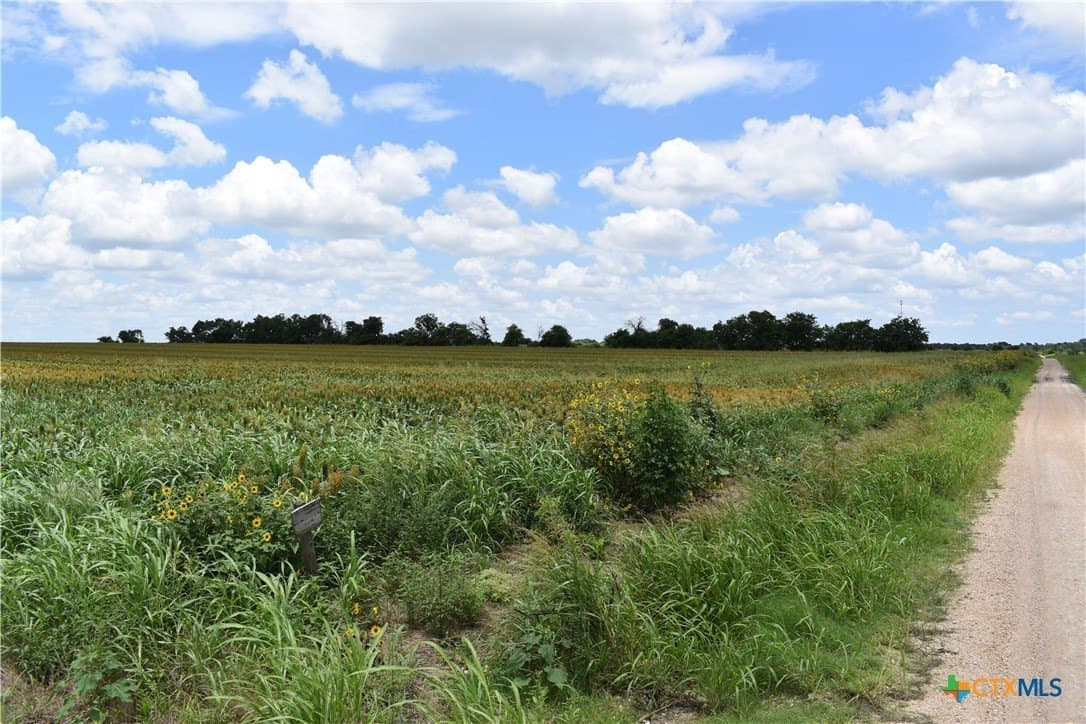 20 acres in Milam County - photo 4