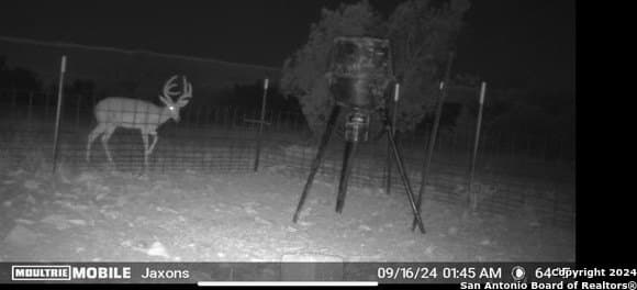 50.16 acres in Val Verde County - photo 7