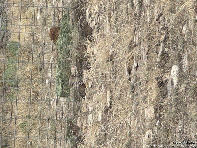 50.16 acres in Val Verde County - photo 6