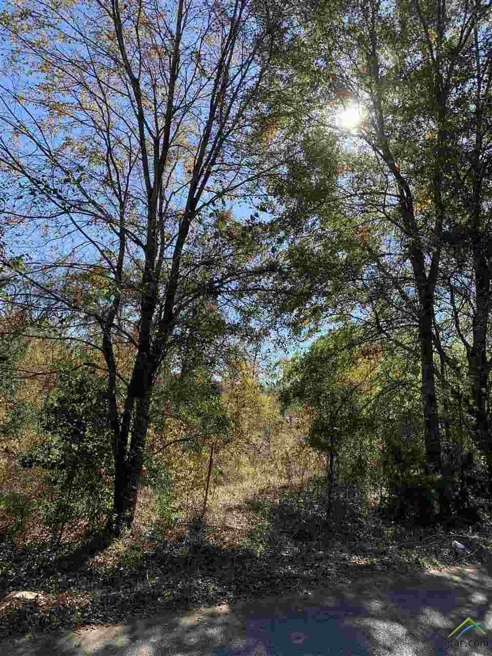 11.61 acres in Smith County - photo 3