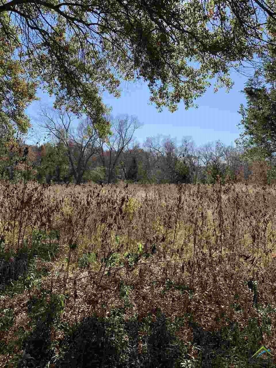 11.61 acres in Smith County - photo 5