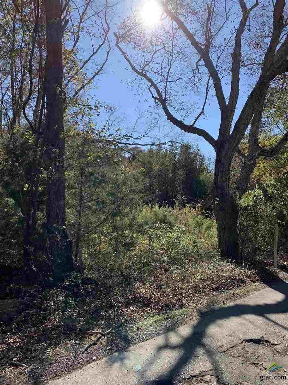 11.61 acres in Smith County - photo 2