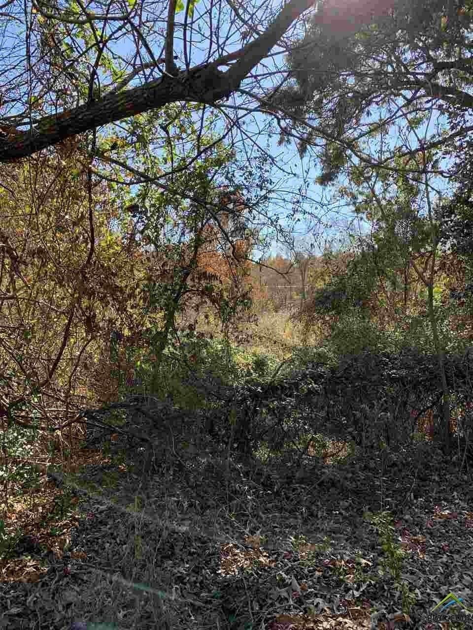 11.61 acres in Smith County - photo 4