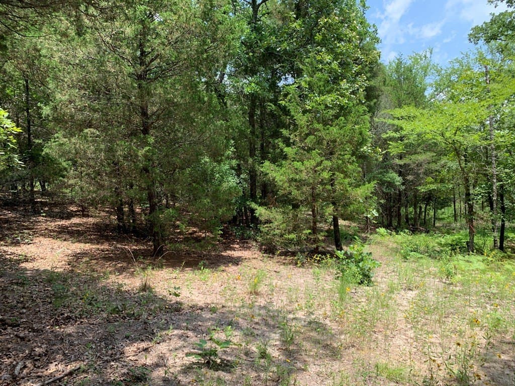 40.44 acres in Henderson County - photo 17