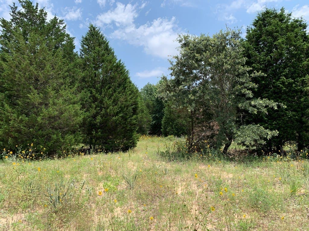 40.44 acres in Henderson County - photo 9