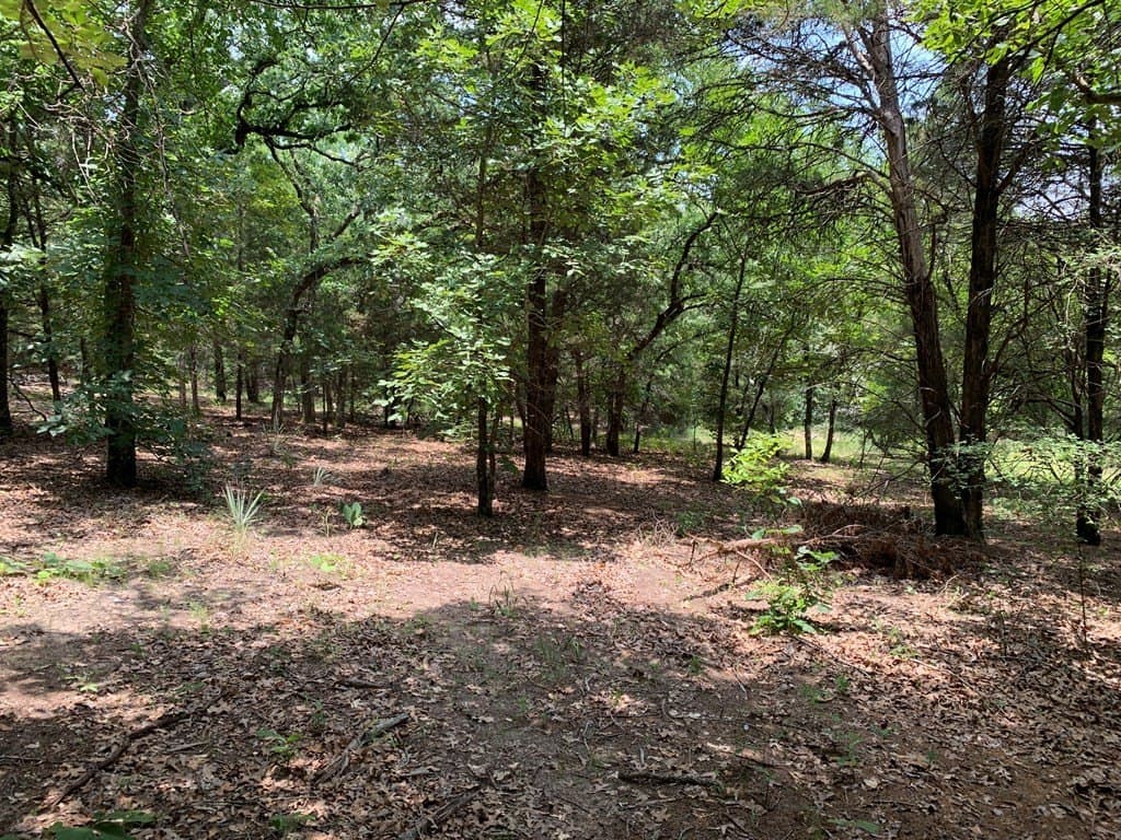 40.44 acres in Henderson County - photo 12