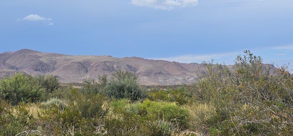 20 acres in Brewster County - photo 9