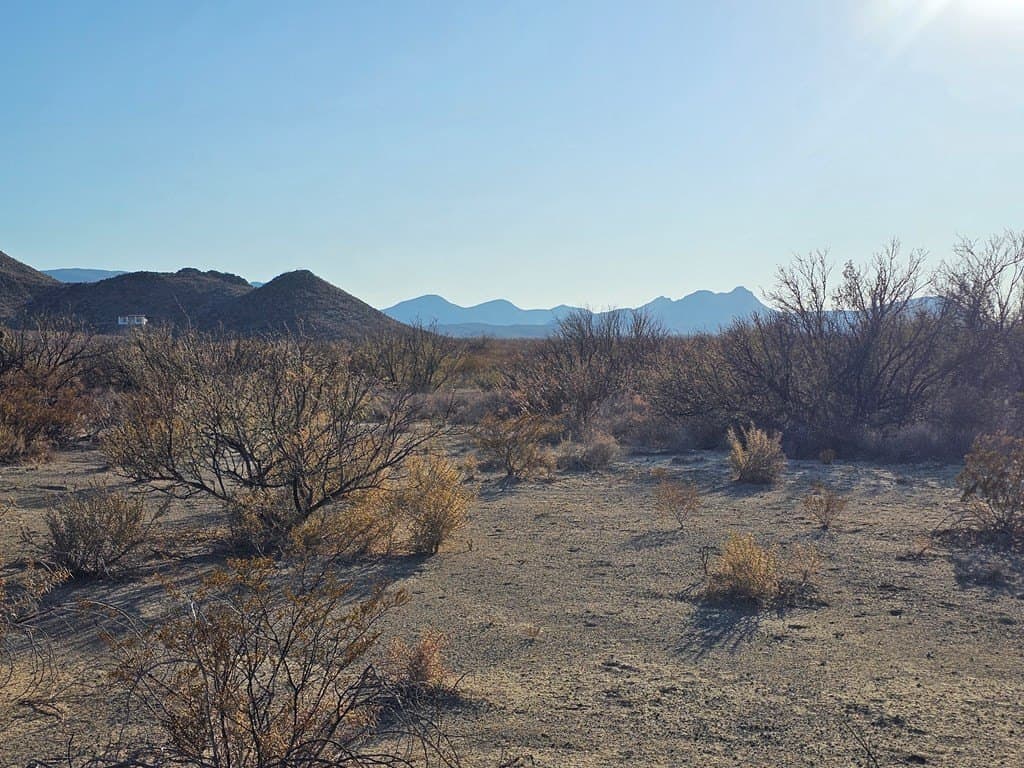 20 acres in Brewster County - photo 21