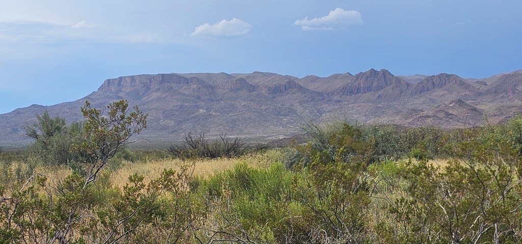 20 acres in Brewster County - photo 4