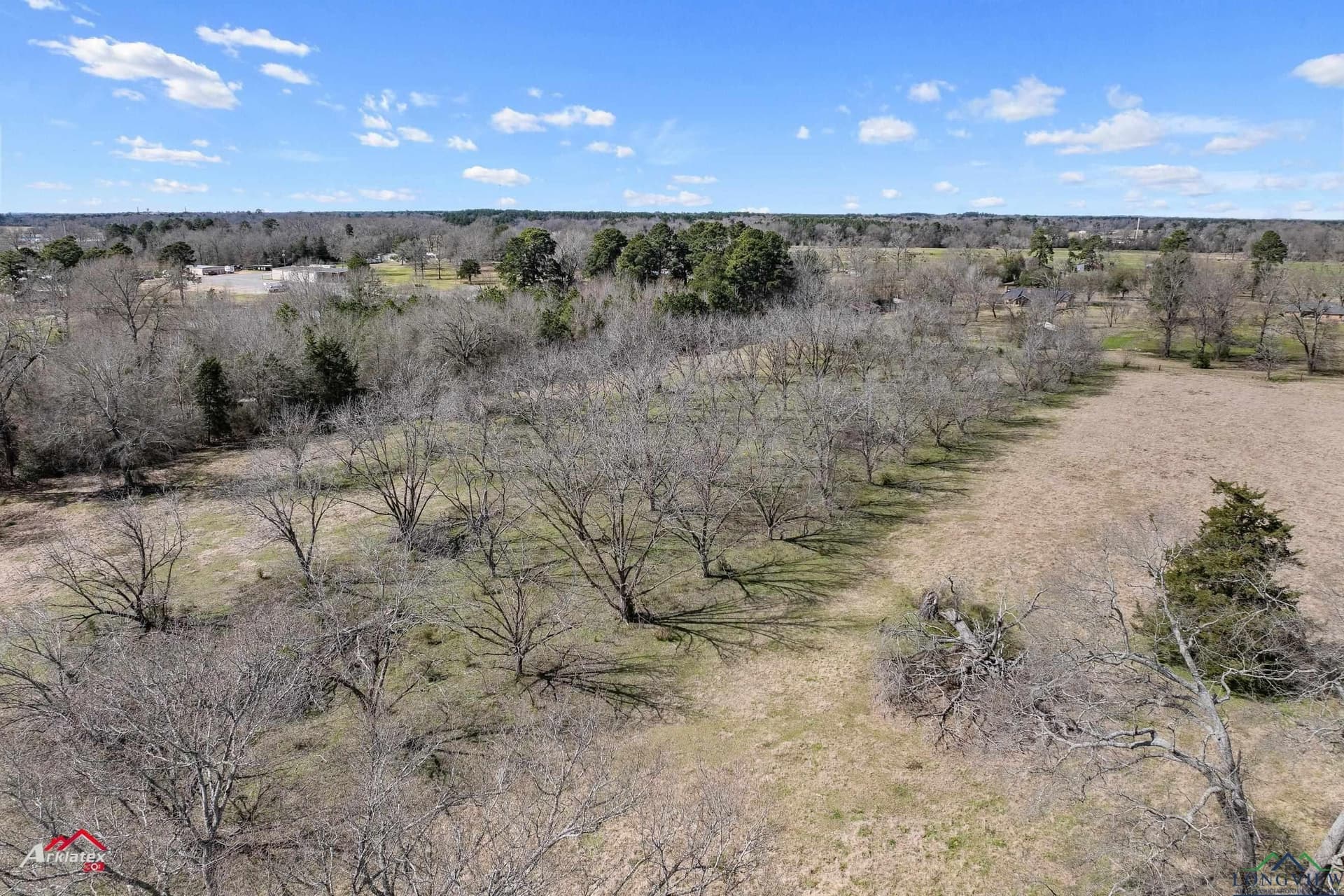 77.86 acres in Panola County - photo 5
