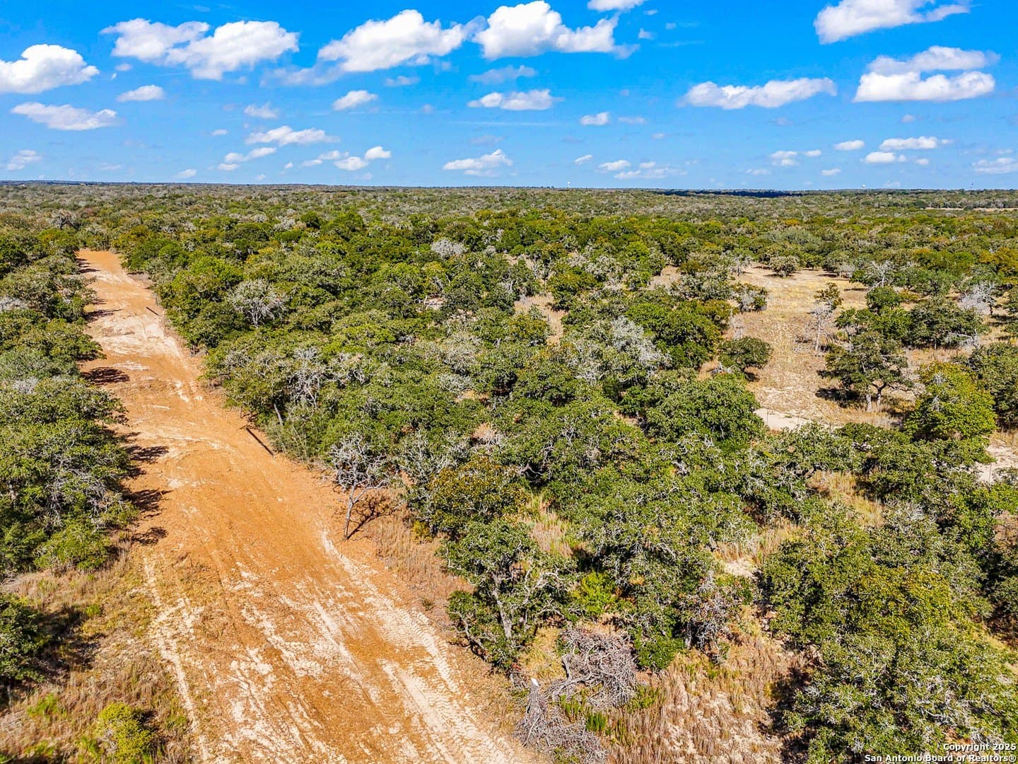 10.01 acres in Guadalupe County - photo 33
