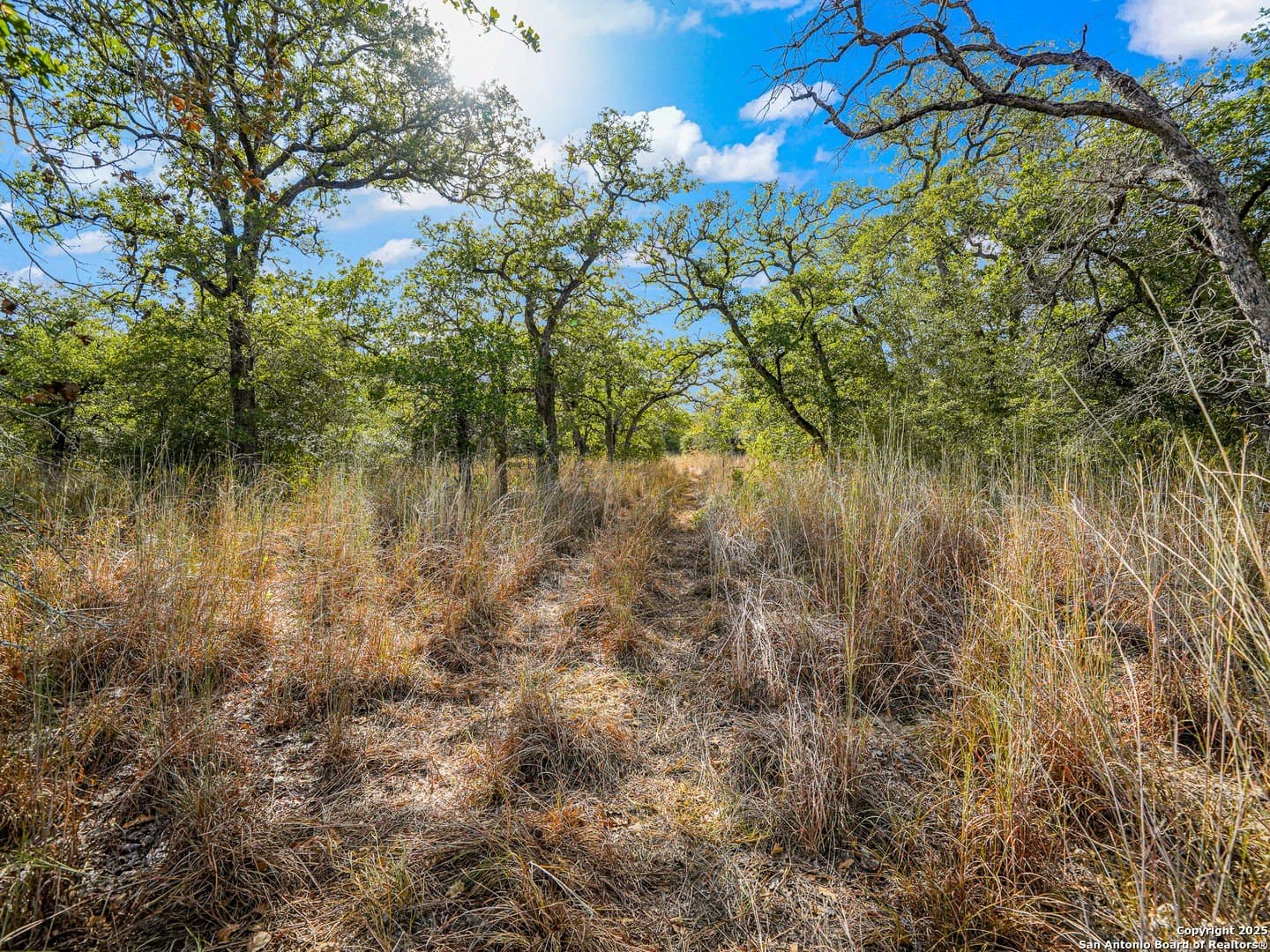 10.01 acres in Guadalupe County - photo 4