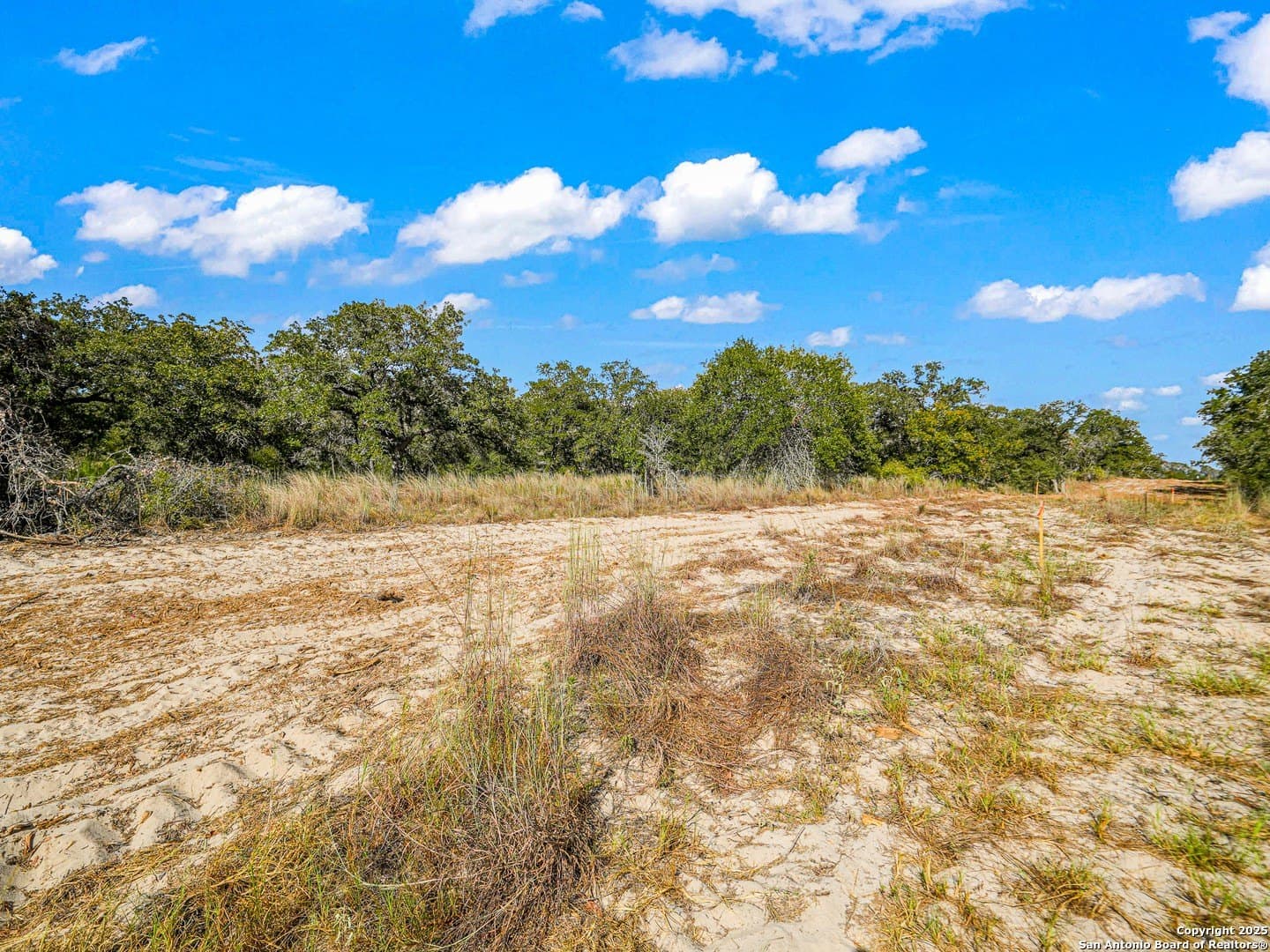10.01 acres in Guadalupe County - photo 21
