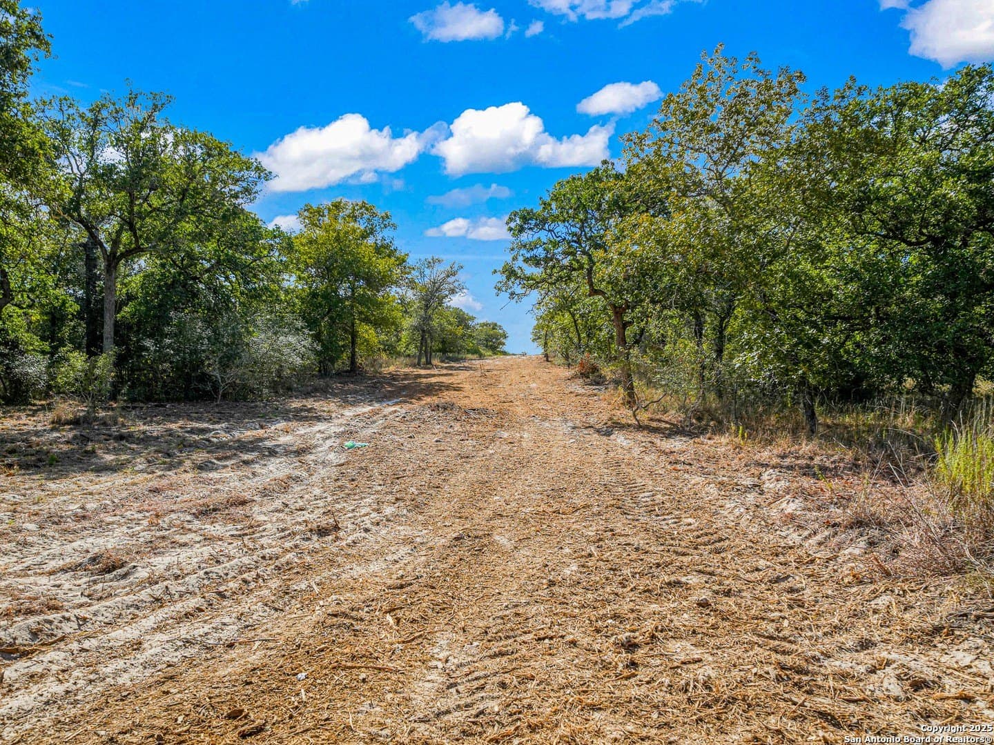 10.01 acres in Guadalupe County - photo 5