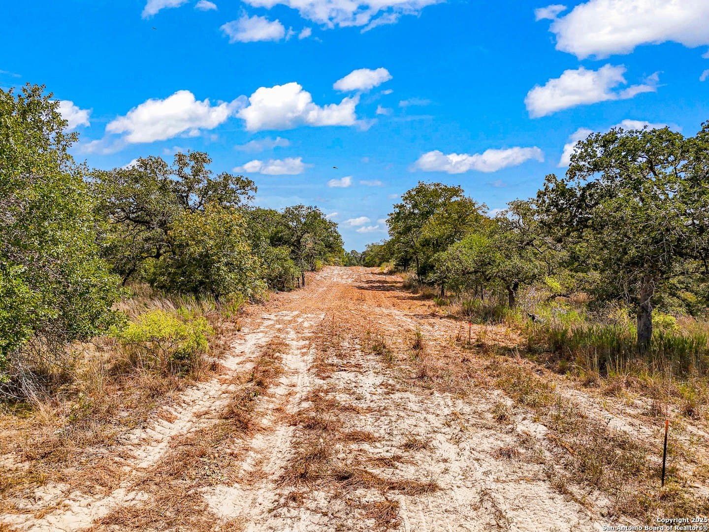 10.01 acres in Guadalupe County - photo 31