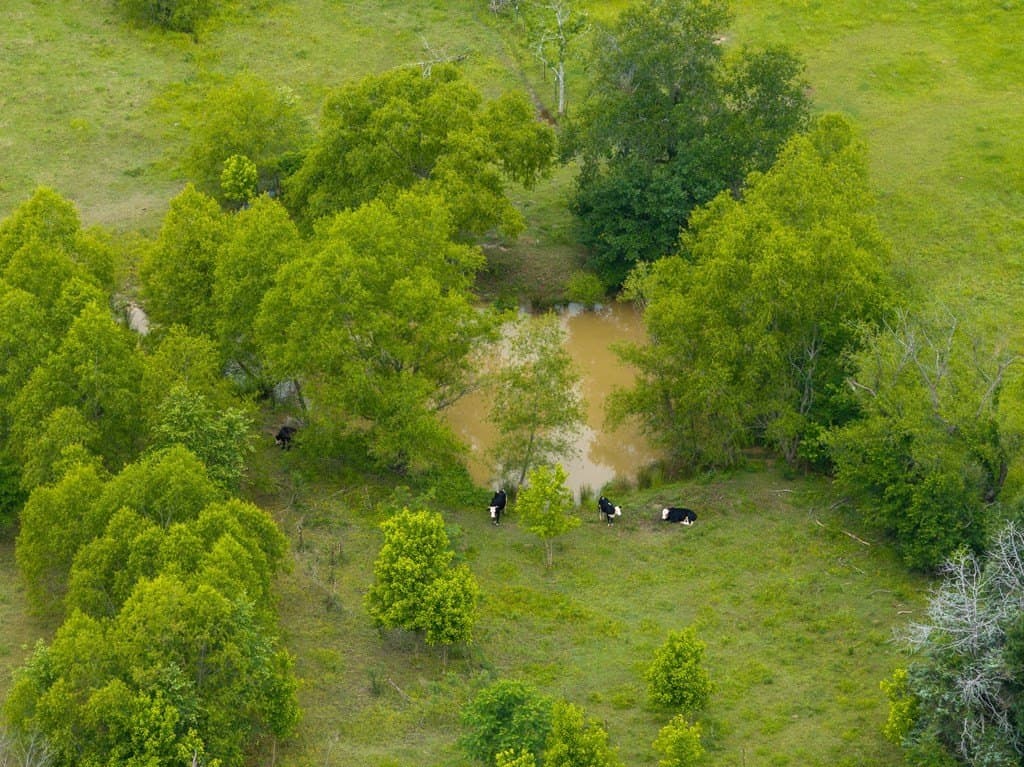 10.47 acres in ANDERSON County - photo 38
