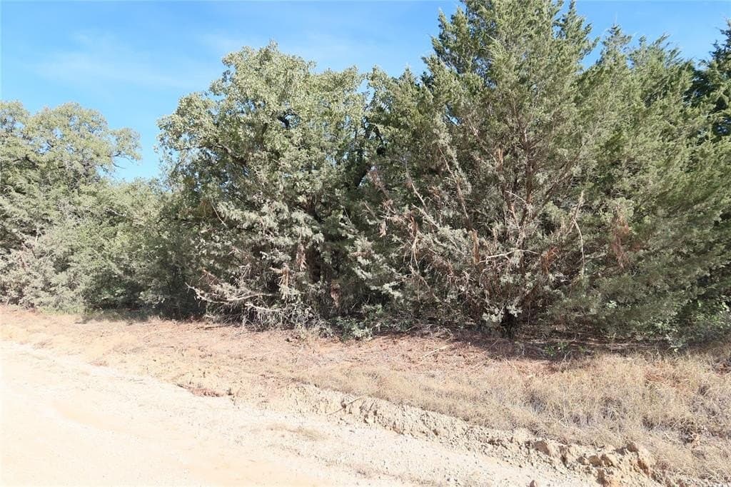 1.98 acres in Montague County - photo 11