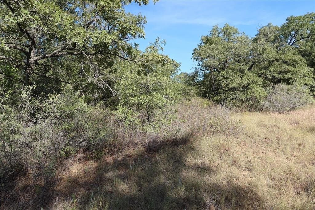 1.98 acres in Montague County - photo 3