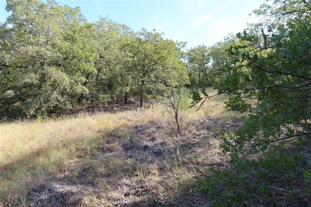 1.98 acres in Montague County - photo 8