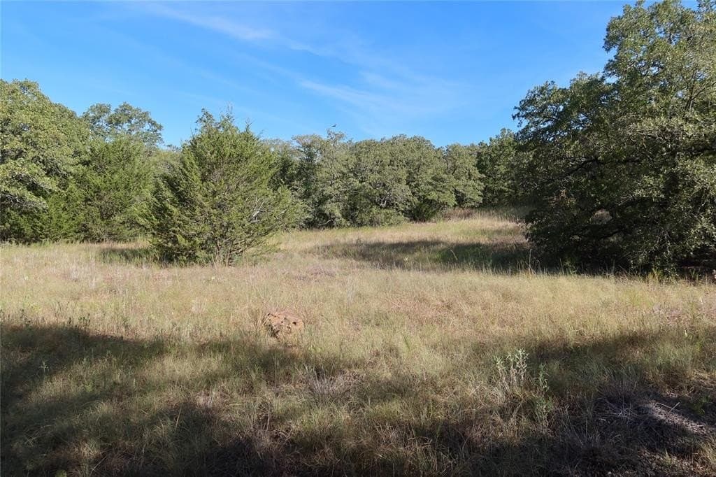 1.98 acres in Montague County - photo 7