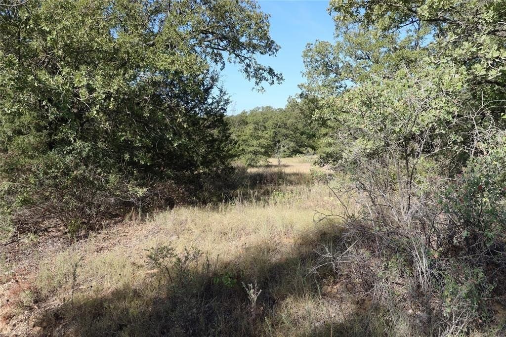 1.98 acres in Montague County - photo 4