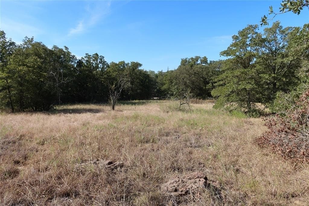 1.98 acres in Montague County - photo 10
