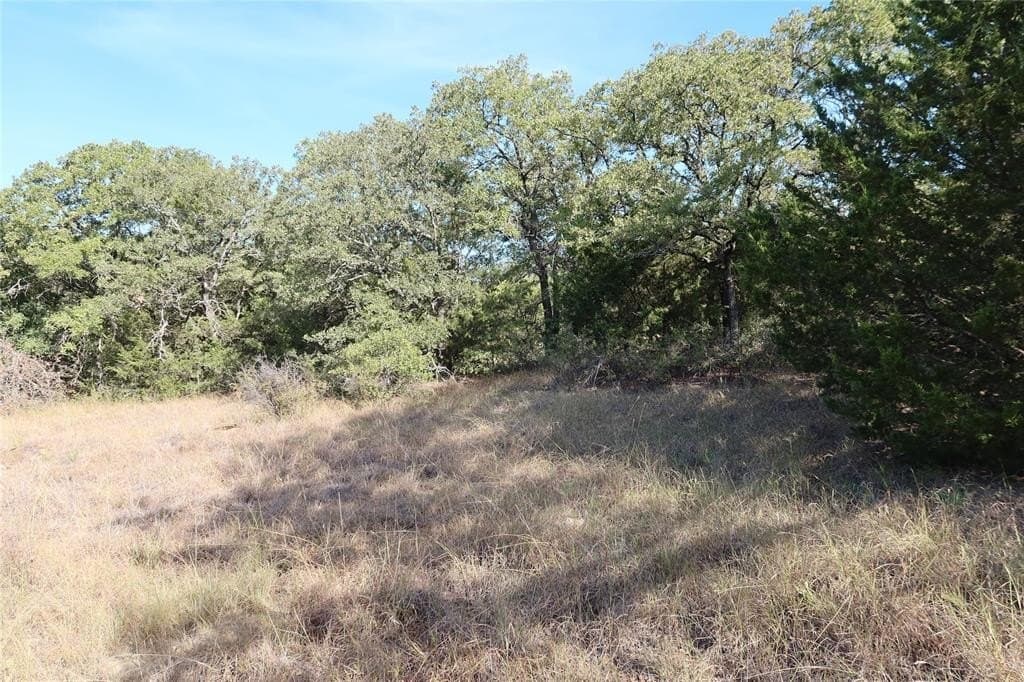 1.98 acres in Montague County - photo 6