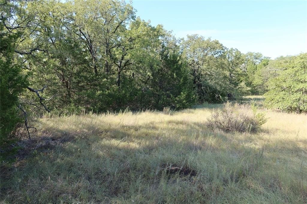 1.98 acres in Montague County - photo 5