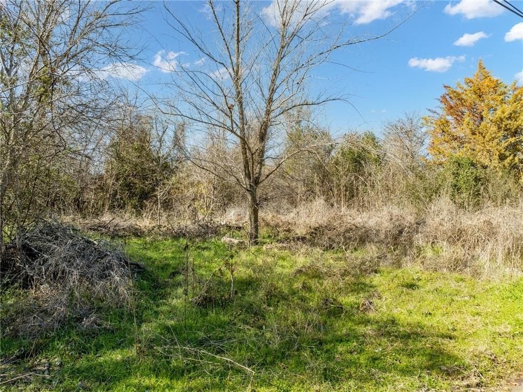 0.25 acres in McLennan County - photo 6