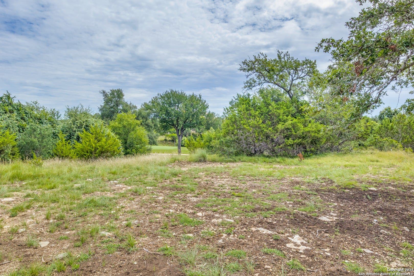 0.27 acres in Blanco County - photo 14