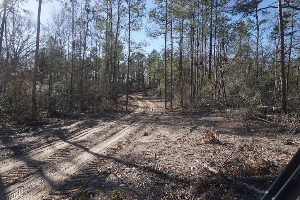 16.92 acres in LEON County - photo 3