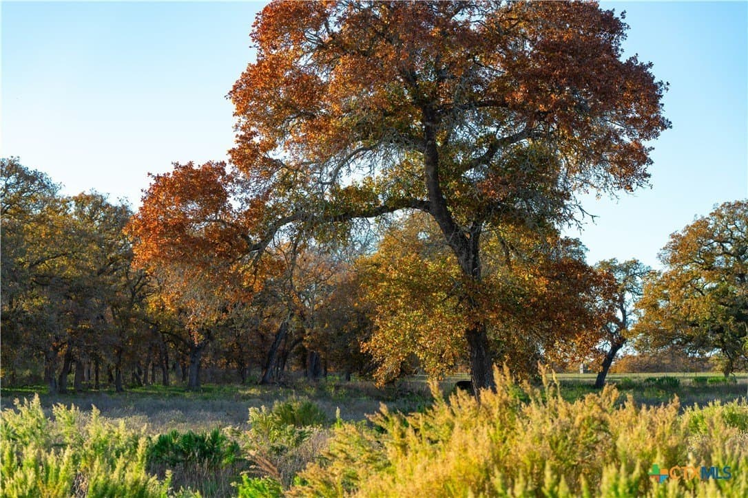 100 acres in Guadalupe County - photo 3