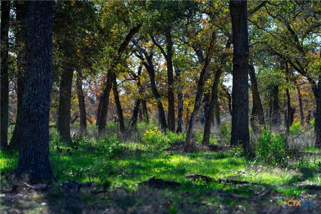 100 acres in Guadalupe County - photo 9