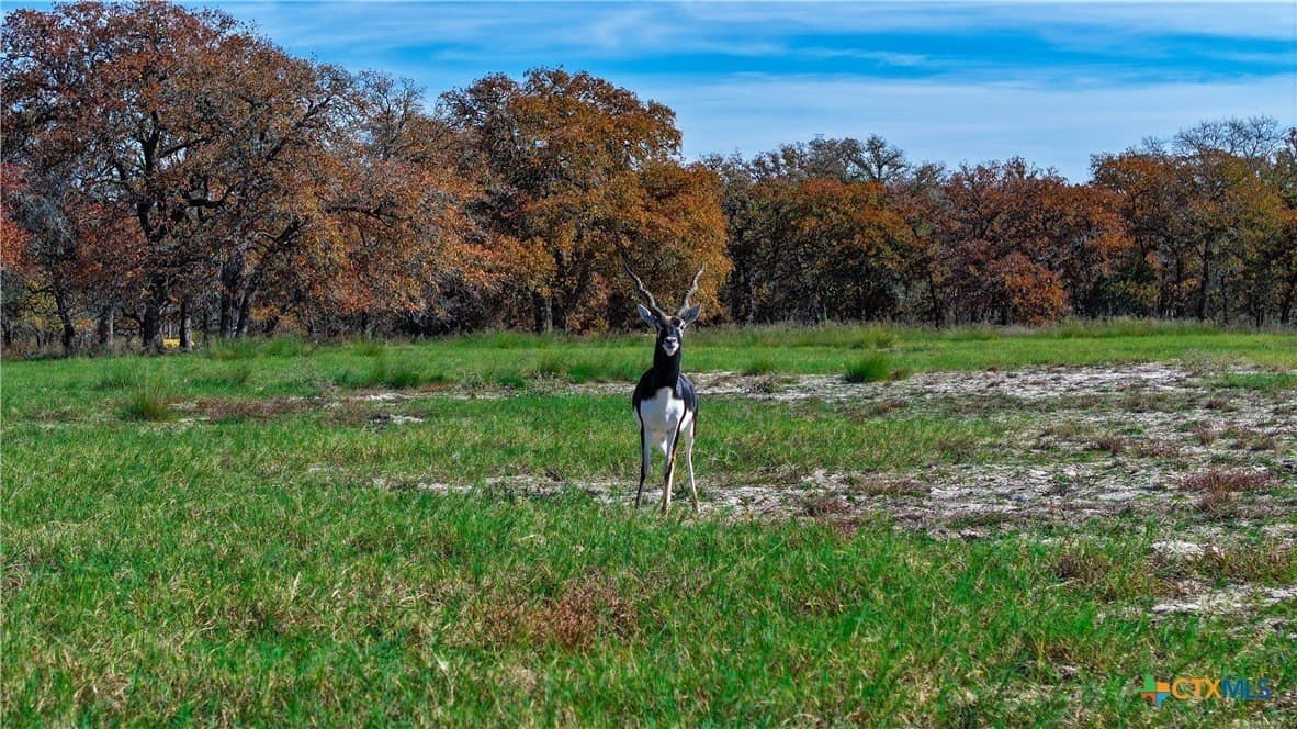 100 acres in Guadalupe County - photo 4