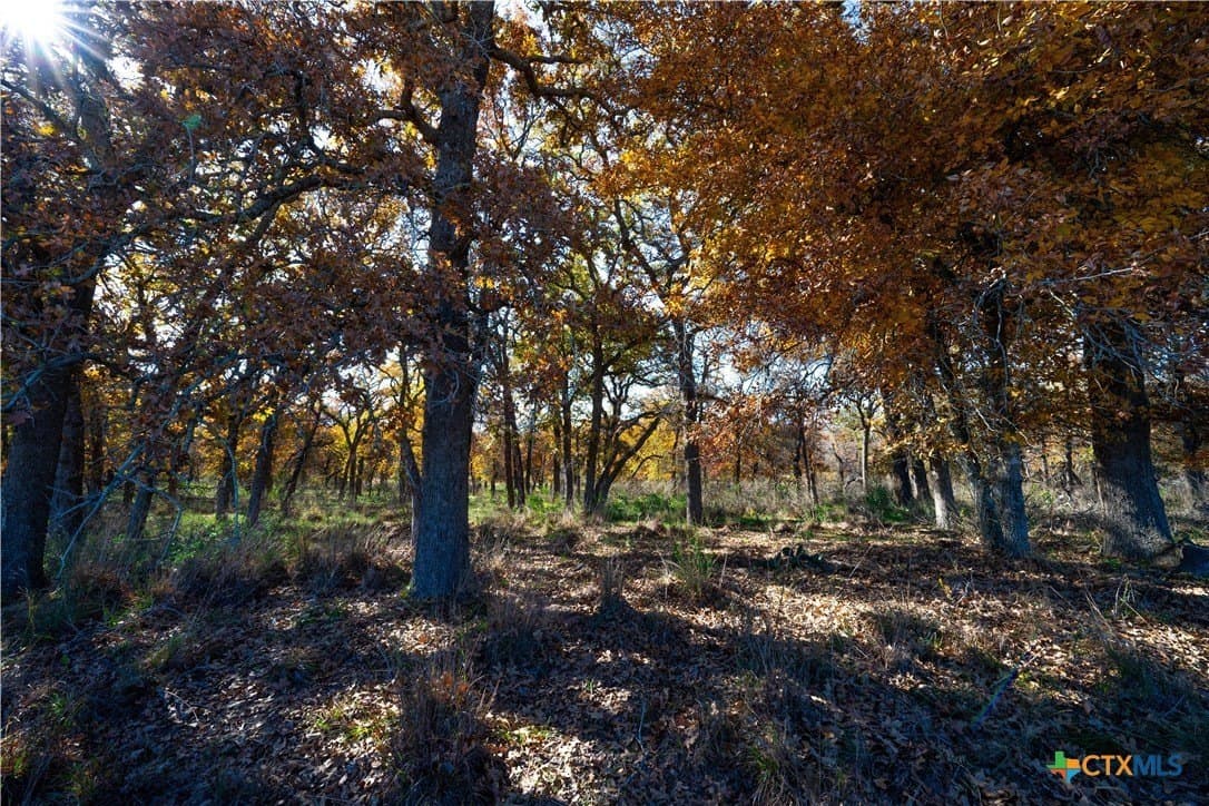 100 acres in Guadalupe County - photo 8