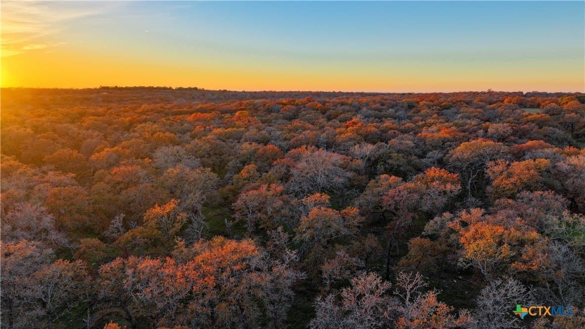 100 acres in Guadalupe County - photo 18