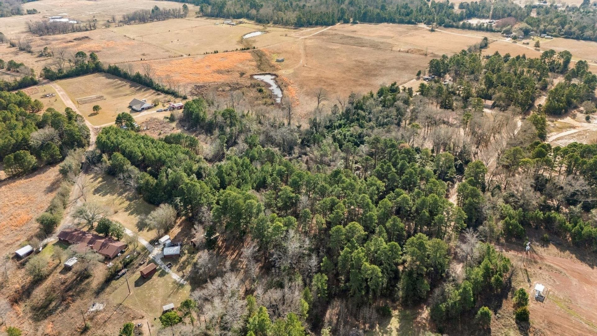 5.2 acres in Wood County - photo 8