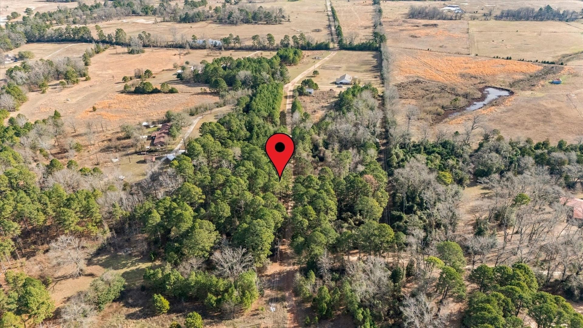 5.2 acres in Wood County - photo 5
